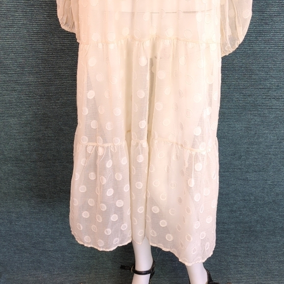 Moon River Sheer Polkadot Tiered Dress - Picture 9 of 13